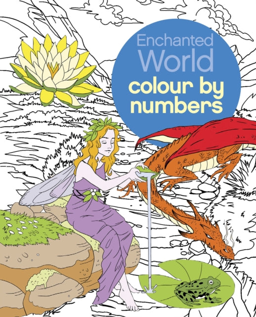Book cover of: Enchanted World Colour by Numbers
