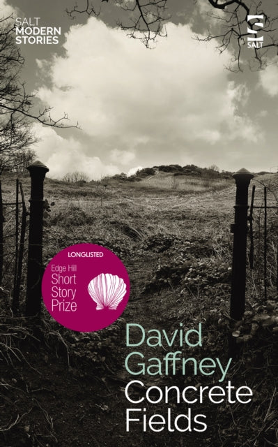 Book cover of: Concrete Fields. By: David Gaffney