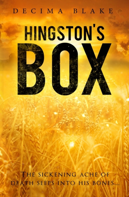 Book cover of: Hingston's Box