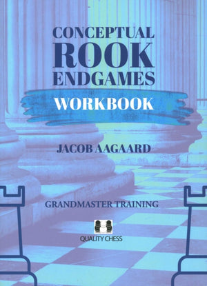 Conceptual Rook Endgames Workbook