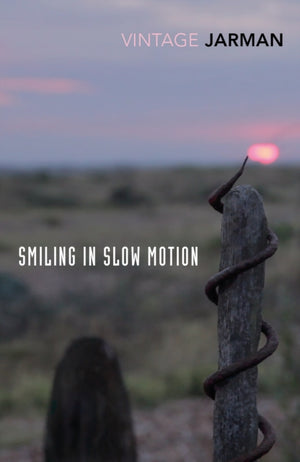 Smiling in Slow Motion, Journals, 1991–1994