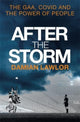 Book cover of: After the Storm. By: Damian Lawlor