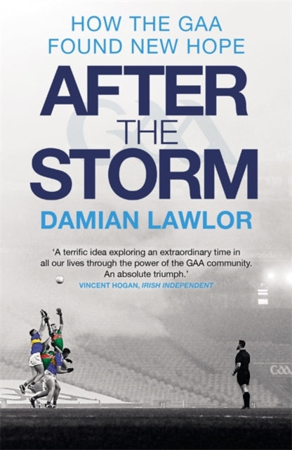 Book cover of: After the Storm. By: Damian Lawlor