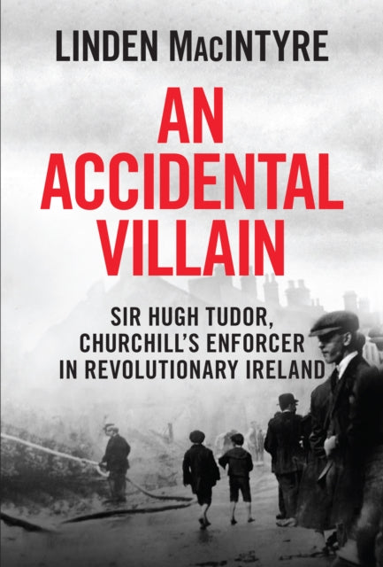 Book cover of: An Accidental Villain