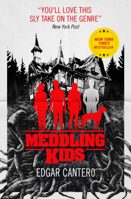 Meddling Kids 9781785658761 Edgar Cantero
