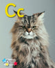 Book cover of: Alpha Stars Cc. By: Stephen Rickard