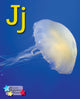Book cover of: Alpha Stars Jj. By: Stephen Rickard
