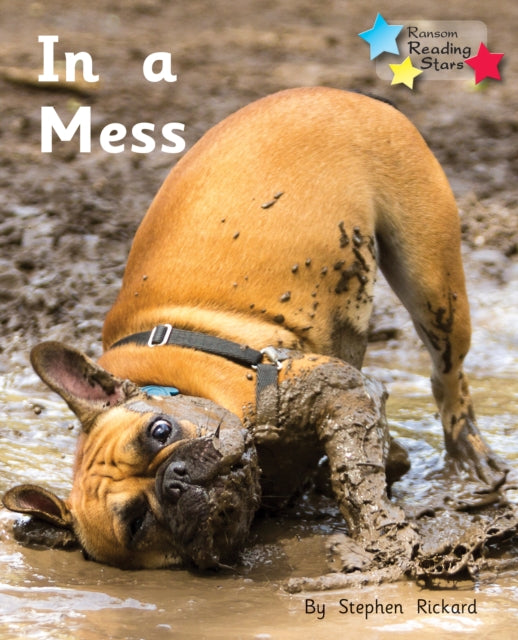 Book cover of: In a Mess