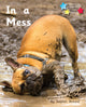 Book cover of: In a Mess