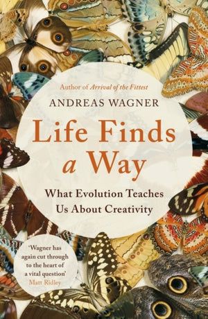 Life Finds a Way, What Evolution Teaches Us About Creativity