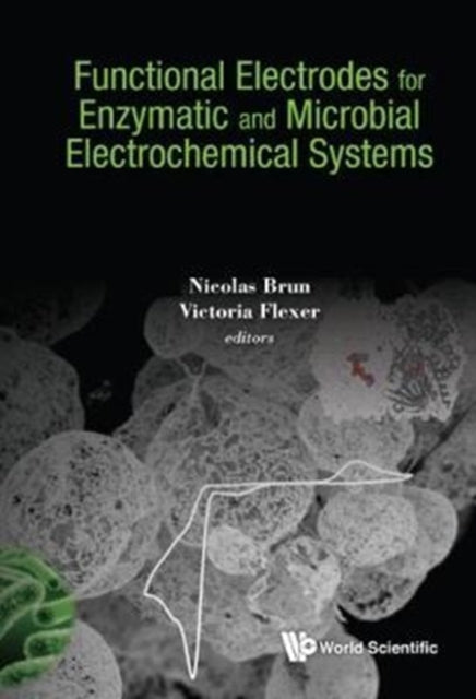 Book cover of: Functional Electrodes For Enzymatic And Microbial Electrochemical Systems. By: Nicolas Brun