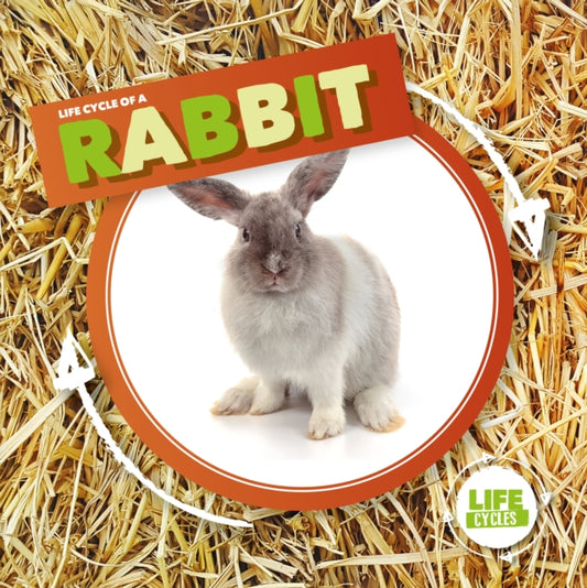 Book cover of: Rabbit. By: Kirsty Holmes