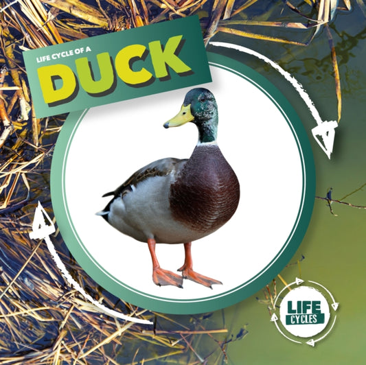 Book cover of: Duck. By: Kirsty Holmes