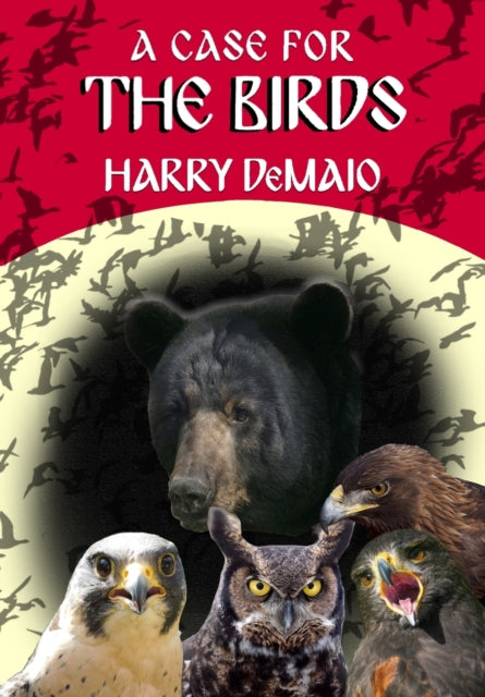 Book cover of: Case For The Birds (Octavius Bear 15). By: Harry Demaio