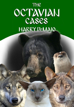 Octavian Cases (Octavius Bear 17)