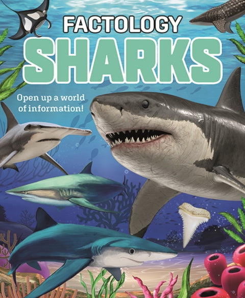 Factology: Sharks, Open Up a World of Information!