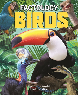 Factology: Birds