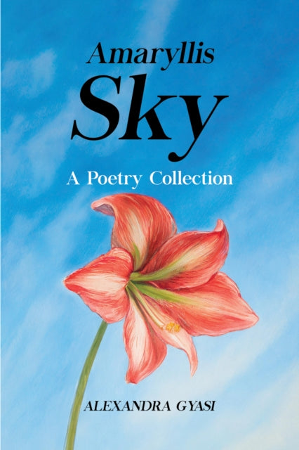 Book cover of: Amaryllis Sky. By: Alexandra Gyasi