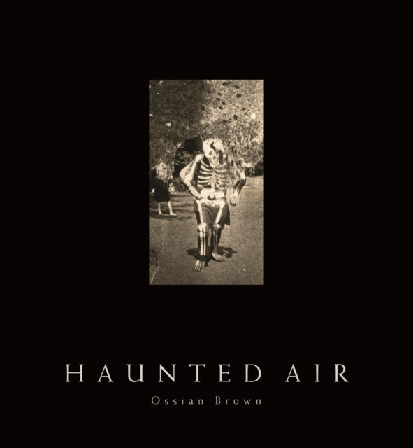 Book cover of: Haunted Air. By: Ossian Brown