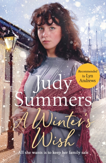 Book cover of: Winter's Wish. By: Judy Summers