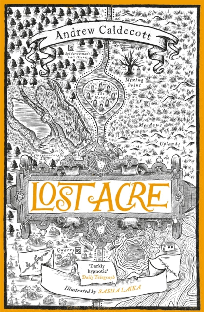 Book cover of: Lost Acre. By: Andrew Caldecott