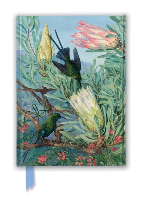 Book cover of: Kew Gardens' Marianne North: Honeyflowers and Honeysuckers (Foiled Journal). By: Flame Tree Studio