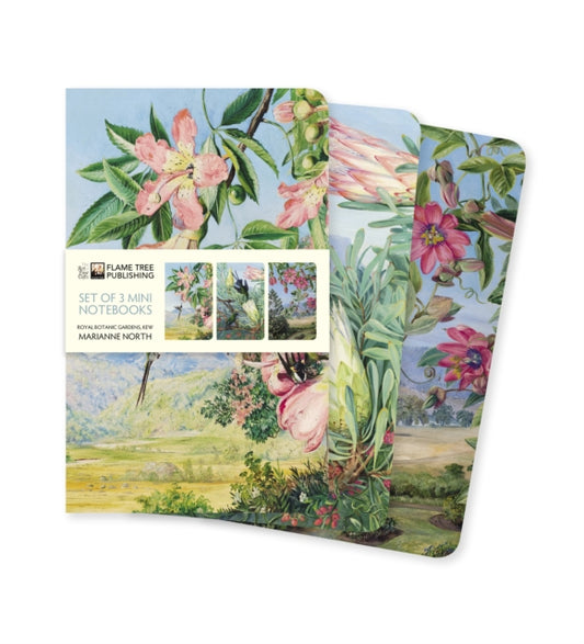 Book cover of: Kew Gardens' Marianne North Set of 3 Mini Notebooks. By: Flame Tree Studio