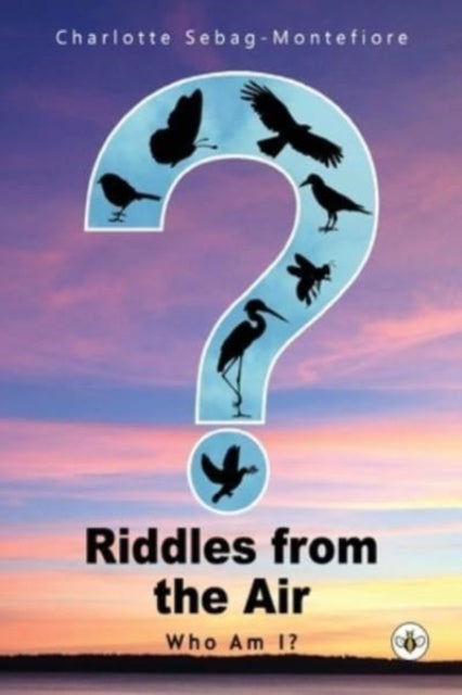 Book cover of: Riddles from the Air