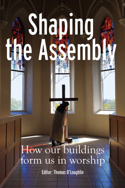 Book cover of: Shaping the Assembly. By: Thomas O'Loughlin