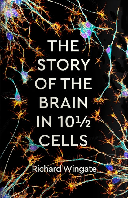 Book cover of: Story of the Brain in 10½ Cells. By: Richard Wingate