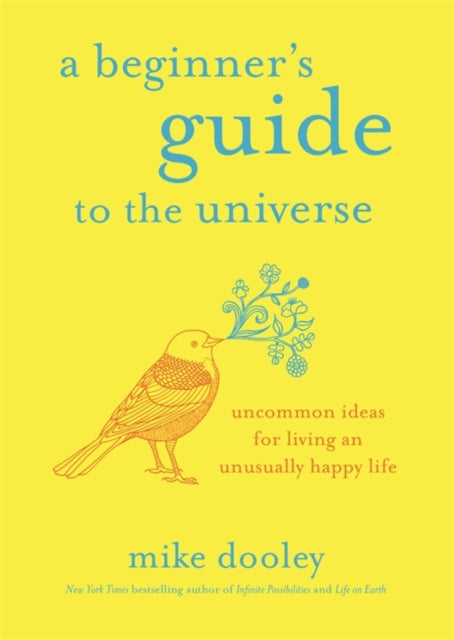 A Beginner's Guide to the Universe