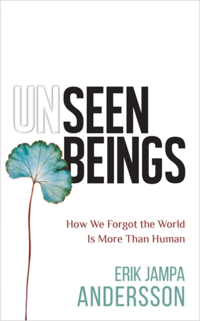 Book cover of: Unseen Beings. By: Erik Jampa Andersson