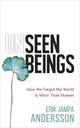 Book cover of: Unseen Beings. By: Erik Jampa Andersson