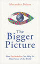 Book cover of: Bigger Picture. By: Alexander Beiner