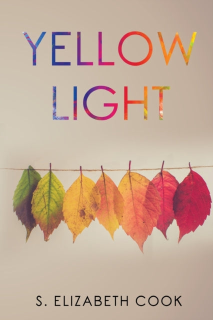 Book cover of: Yellow Light. By: S. E. Cook