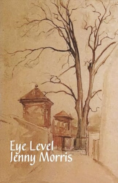 Book cover of: Eye Level. By: Jenny Morris