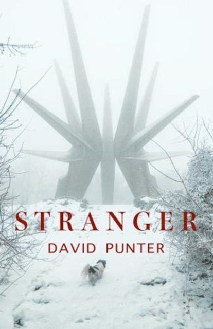 Book cover of: Stranger. By: PUNTER