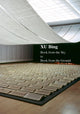 Book cover of: Xu Bing. By: Xu Bing