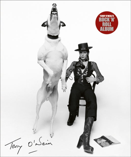 Book cover of: Terry O'Neill's Rock 'n' Roll Album. By: O'NEILL