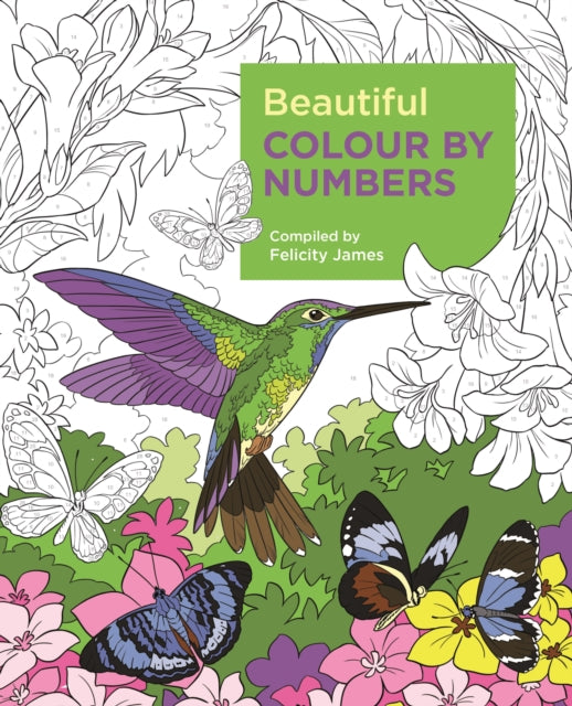Beautiful Colour by Numbers 9781788887687 Felicity James
