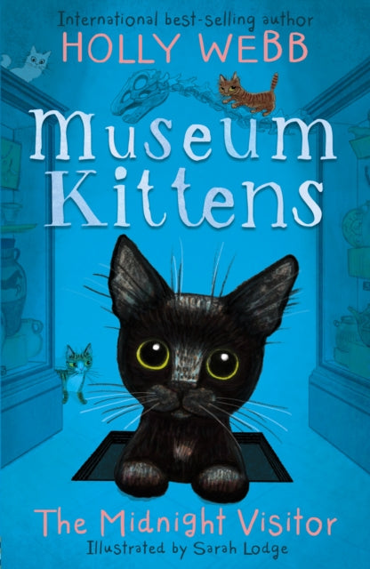 Book cover of: The Midnight Visitor
