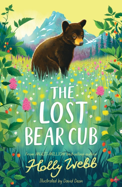 The Lost Bear Cub 9781788956062 Holly Webb