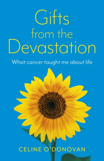 Book cover of: Gifts from the Devastation. By: Celine Donovan