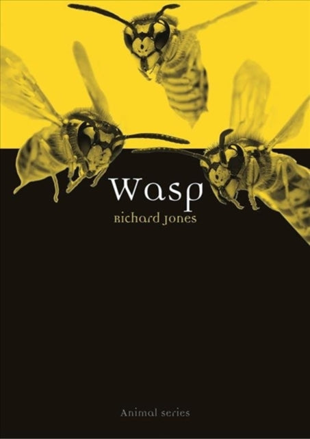 Book cover of: Wasp. By: Ri'Chard Jones