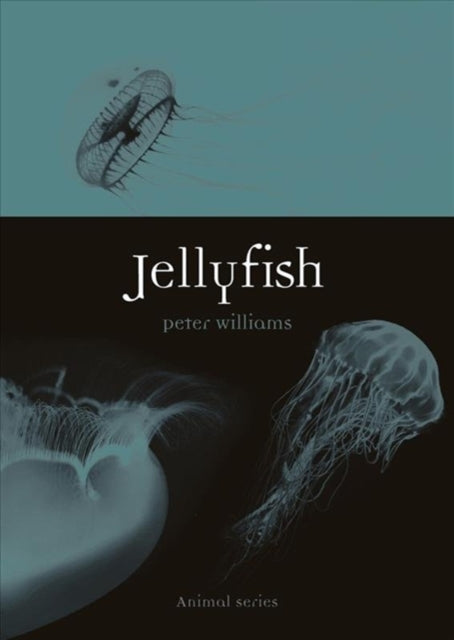 Book cover of: Jellyfish. By: Peter Williams