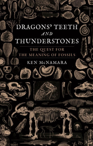 Dragons’ Teeth and Thunderstones