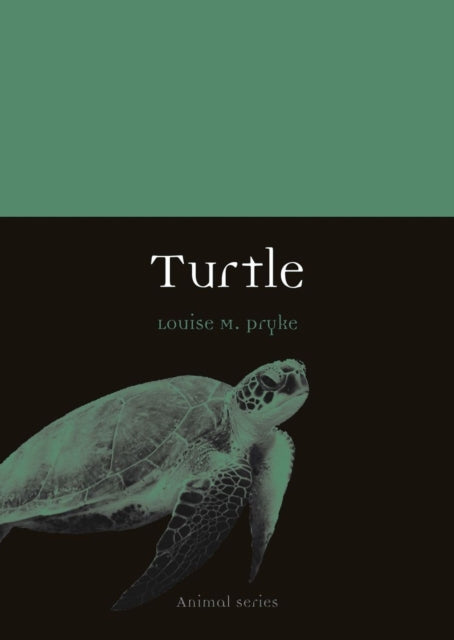 Book cover of: Turtle. By: Louise M. Pryke
