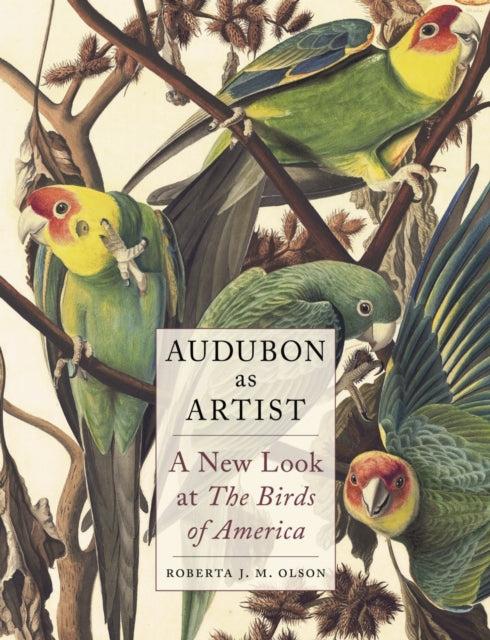 Book cover of: Audubon as Artist. By: Roberta J. M. Olson