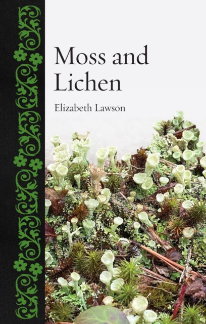 Book cover of: Moss and Lichen