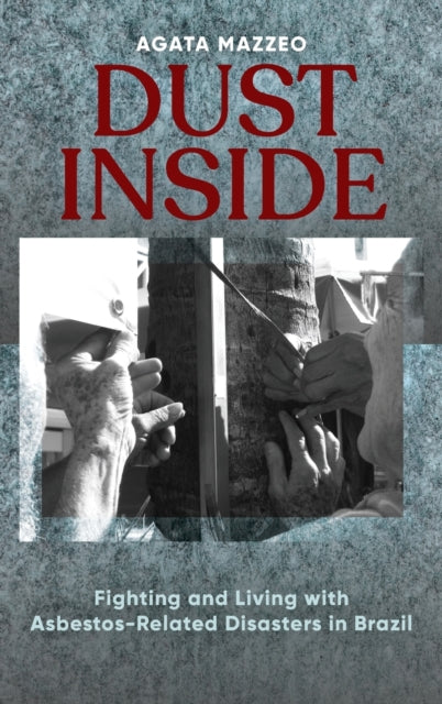 Book cover of: Dust Inside. By: Agata Mazzeo